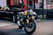 Ducati Scrambler Icon 2020
