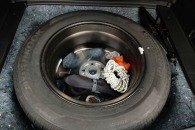 Honda CR-V 1.5T 2WD EX 2019