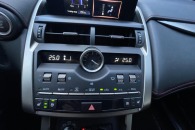 Lexus NX300 2.0 2020